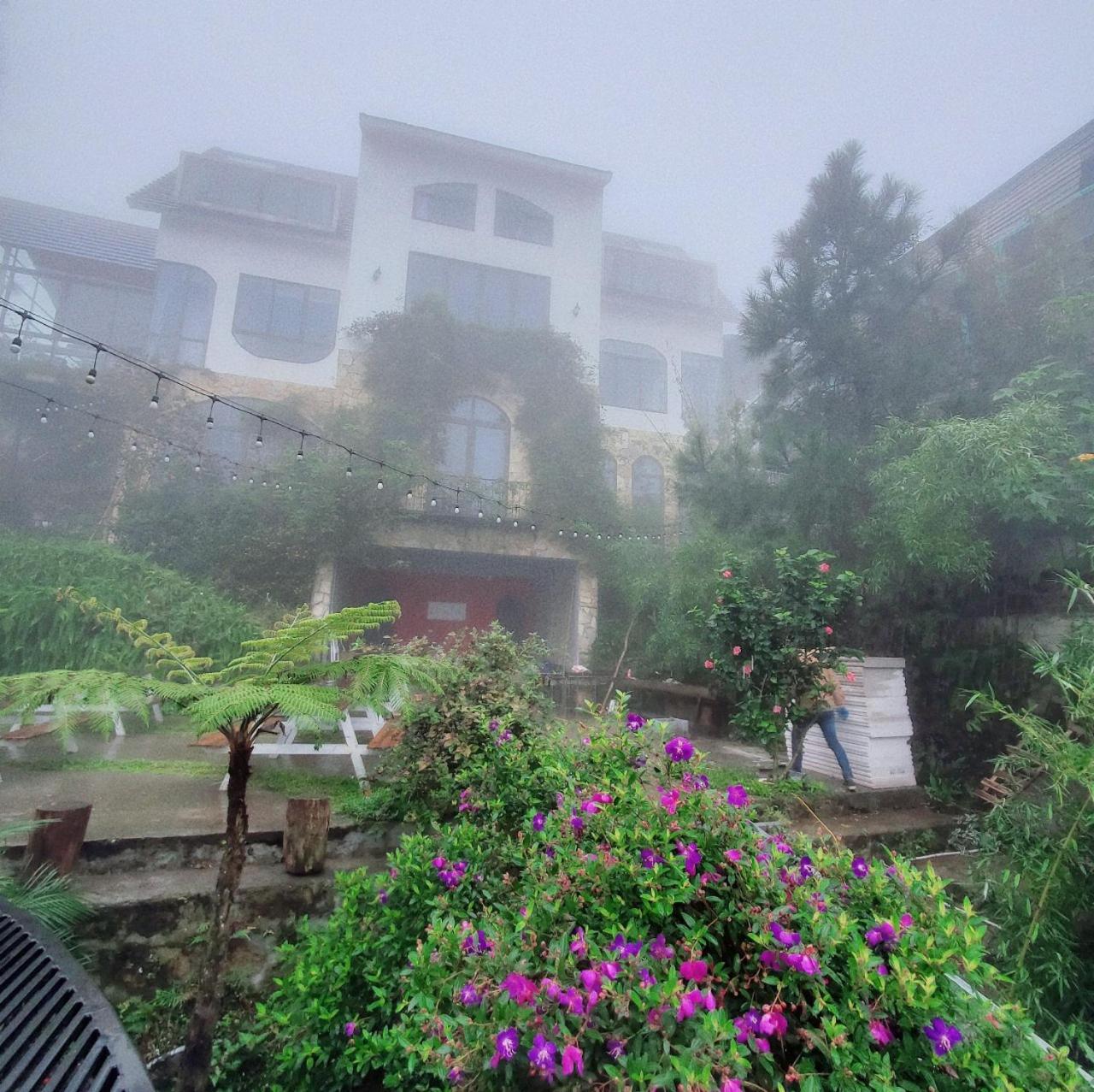 Le Vent Tam Dao Homestay Exteriör bild
