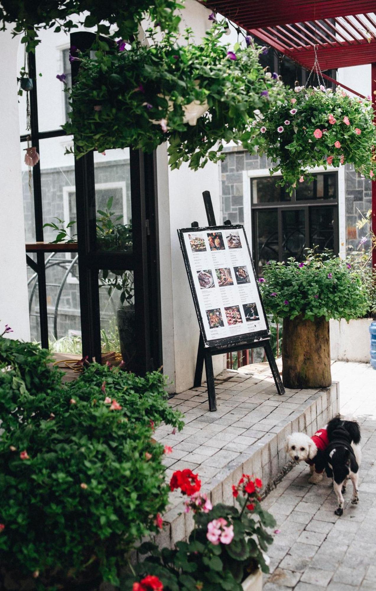 Le Vent Tam Dao Homestay Exteriör bild