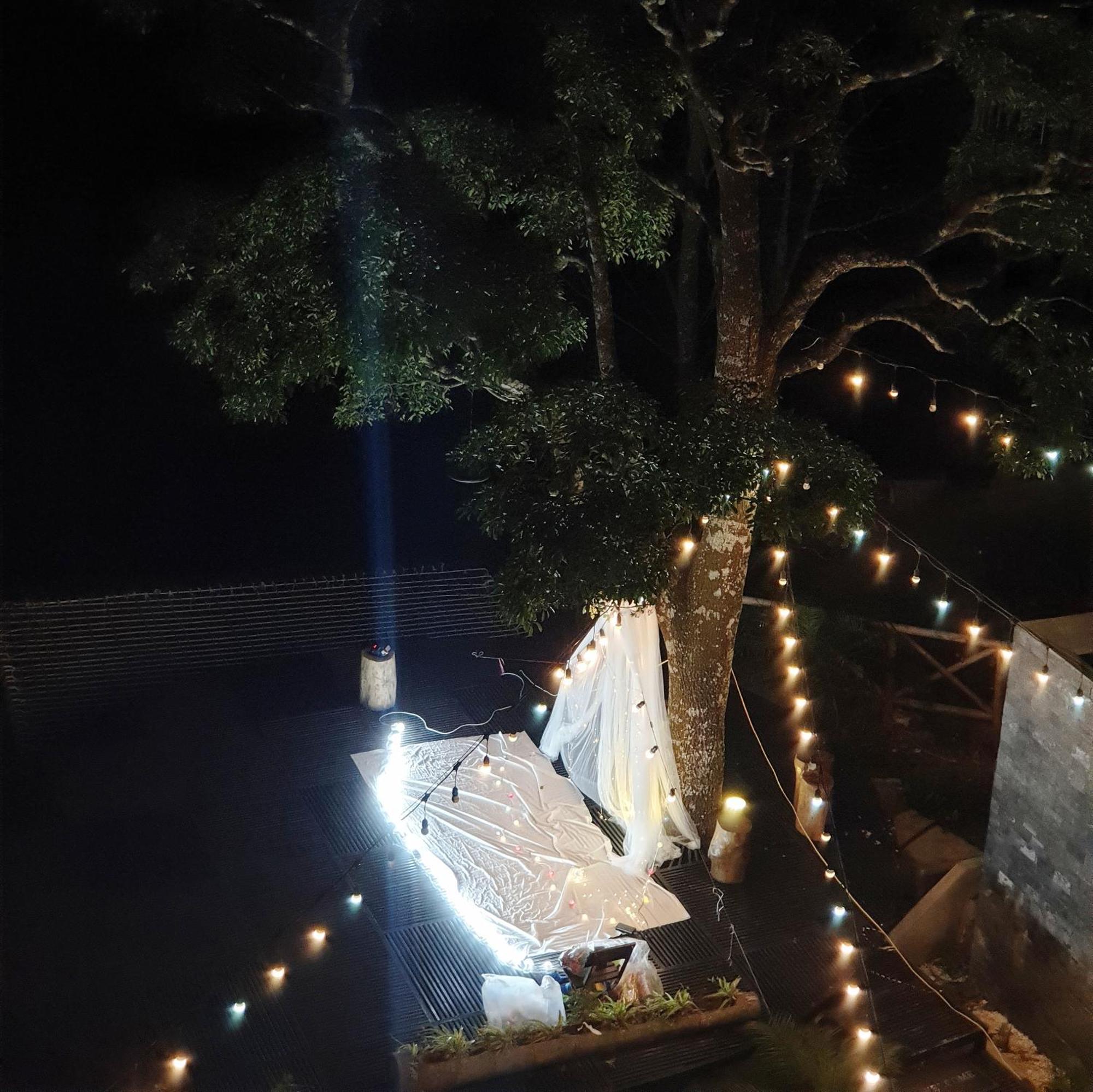 Le Vent Tam Dao Homestay Exteriör bild